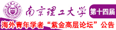 哈不要弄我骚核南京理工大学第十四届海外青年学者紫金论坛诚邀海内外英才！